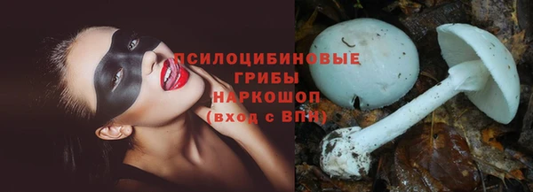 трава Снежинск