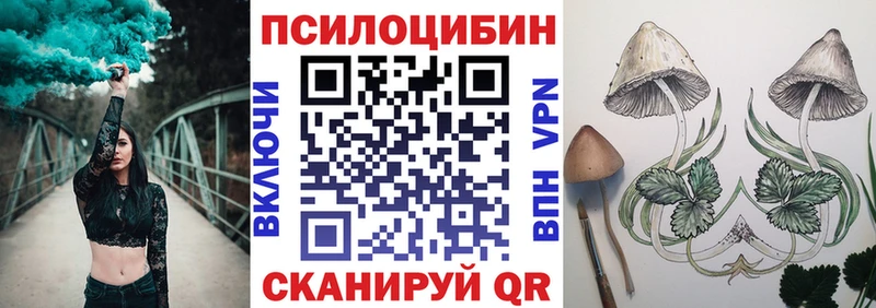 Галлюциногенные грибы GOLDEN TEACHER  Новоалександровск 