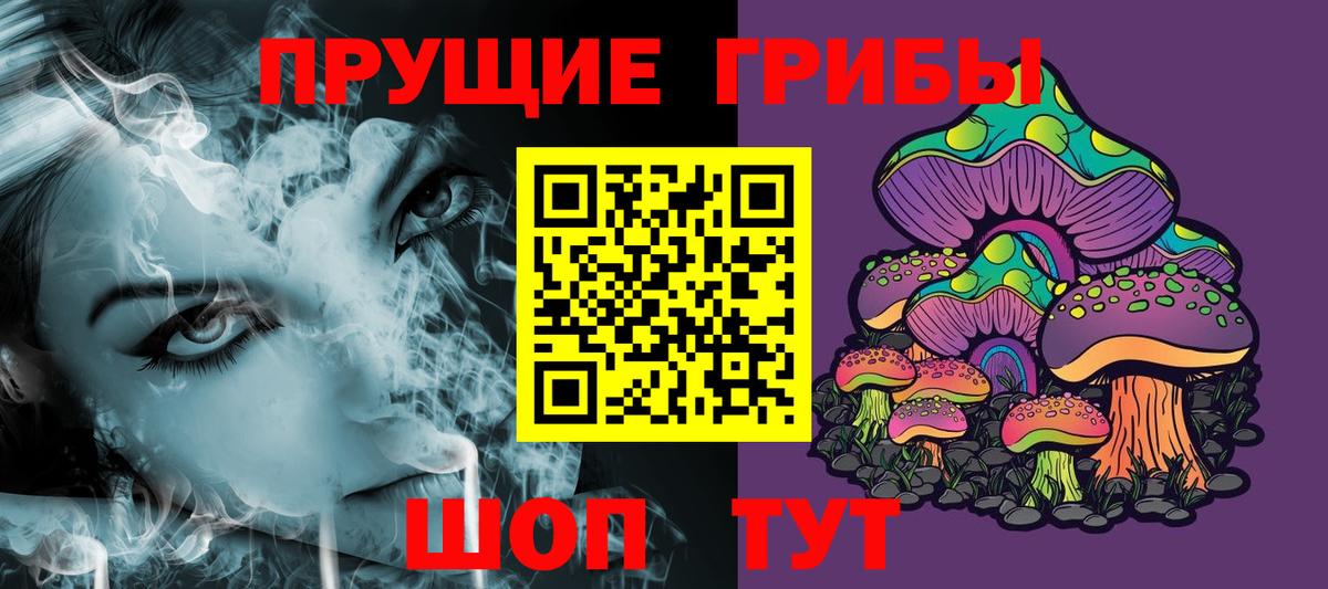 Псилоцибиновые грибы Cubensis Новоалександровск
